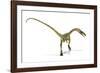 Coelophysis Dinosaur, Artwork-null-Framed Photographic Print