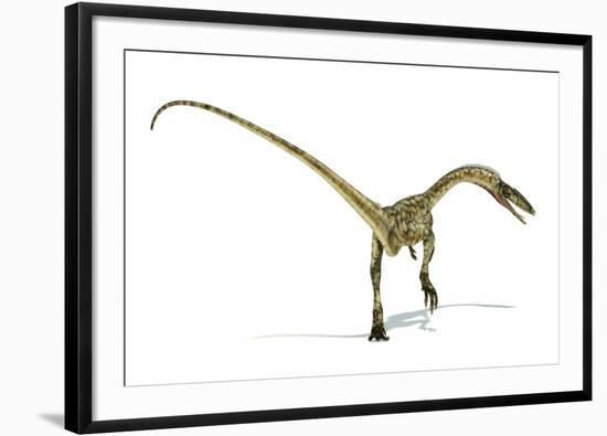 Coelophysis Dinosaur, Artwork-null-Framed Photographic Print