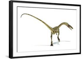 Coelophysis Dinosaur, Artwork-null-Framed Photographic Print