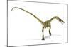 Coelophysis Dinosaur, Artwork-null-Mounted Photographic Print