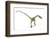 Coelophysis Dinosaur, Artwork-null-Framed Photographic Print