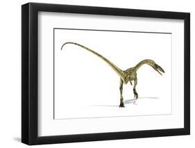 Coelophysis Dinosaur, Artwork-null-Framed Photographic Print