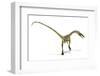 Coelophysis Dinosaur, Artwork-null-Framed Photographic Print