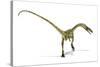 Coelophysis Dinosaur, Artwork-null-Stretched Canvas