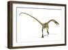 Coelophysis Dinosaur, Artwork-null-Framed Photographic Print