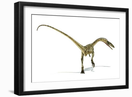 Coelophysis Dinosaur, Artwork-null-Framed Photographic Print