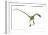 Coelophysis Dinosaur, Artwork-null-Framed Photographic Print