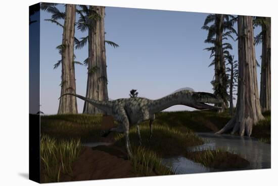 Coelophysis Dinosaur Running-null-Stretched Canvas