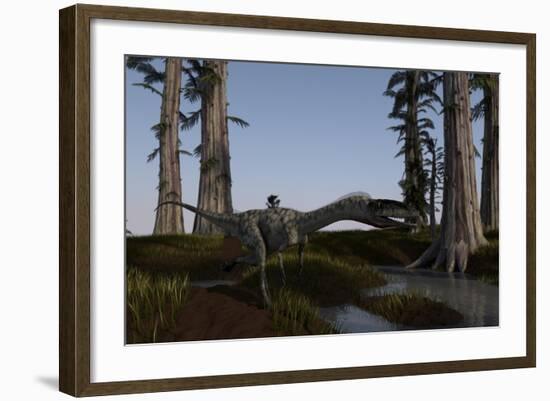 Coelophysis Dinosaur Running-null-Framed Art Print