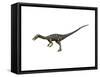 Coelophysis Dinosaur-null-Framed Stretched Canvas