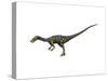 Coelophysis Dinosaur-null-Stretched Canvas