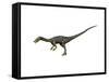 Coelophysis Dinosaur-null-Framed Stretched Canvas