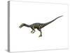 Coelophysis Dinosaur-null-Stretched Canvas
