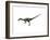 Coelophysis Dinosaur-null-Framed Art Print