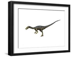 Coelophysis Dinosaur-null-Framed Art Print