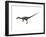 Coelophysis Dinosaur-null-Framed Art Print