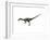 Coelophysis Dinosaur-null-Framed Art Print