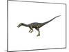 Coelophysis Dinosaur-null-Mounted Art Print