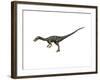 Coelophysis Dinosaur-null-Framed Art Print