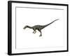 Coelophysis Dinosaur-null-Framed Art Print