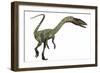 Coelophysis Dinosaur-Stocktrek Images-Framed Art Print