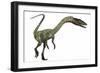 Coelophysis Dinosaur-Stocktrek Images-Framed Art Print