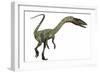 Coelophysis Dinosaur-Stocktrek Images-Framed Art Print