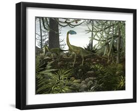 Coelophysis Dinosaurs Walk Amongst a Forest-Stocktrek Images-Framed Photographic Print