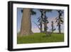 Coelophysis Running Through a Grassy Field-null-Framed Art Print