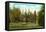 Coeur d'Alene Park, Spokane, Washington-null-Framed Stretched Canvas