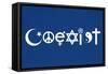 Coexist Blue Motivational Plastic Sign-null-Framed Stretched Canvas