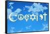 Coexist Sky Motivational Plastic Sign-null-Framed Stretched Canvas