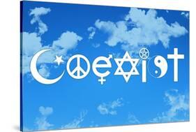 Coexist Sky Motivational Plastic Sign-null-Stretched Canvas