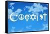 Coexist Sky Motivational Plastic Sign-null-Framed Stretched Canvas