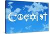 Coexist Sky Motivational Plastic Sign-null-Stretched Canvas