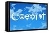 Coexist Sky Motivational Plastic Sign-null-Framed Stretched Canvas