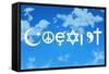 Coexist Sky Motivational Plastic Sign-null-Framed Stretched Canvas