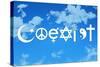 Coexist Sky Motivational Plastic Sign-null-Stretched Canvas