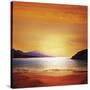 Cofete Fuerteventura Barlovento Beach at Canary Islands of Spain-Naturewolrd-Stretched Canvas