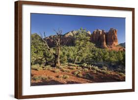 Coffe Pot Rock, Buena Vista Drive, Sedona, Arizona, Usa-Rainer Mirau-Framed Photographic Print