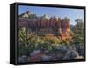 Coffe Pot Rock, Buena Vista Drive, Sedona, Arizona, Usa-Rainer Mirau-Framed Stretched Canvas