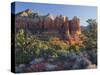 Coffe Pot Rock, Buena Vista Drive, Sedona, Arizona, Usa-Rainer Mirau-Stretched Canvas