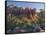 Coffe Pot Rock, Buena Vista Drive, Sedona, Arizona, Usa-Rainer Mirau-Framed Stretched Canvas
