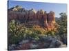 Coffe Pot Rock, Buena Vista Drive, Sedona, Arizona, Usa-Rainer Mirau-Stretched Canvas