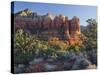 Coffe Pot Rock, Buena Vista Drive, Sedona, Arizona, Usa-Rainer Mirau-Stretched Canvas