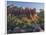 Coffe Pot Rock, Buena Vista Drive, Sedona, Arizona, Usa-Rainer Mirau-Framed Photographic Print
