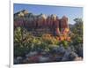 Coffe Pot Rock, Buena Vista Drive, Sedona, Arizona, Usa-Rainer Mirau-Framed Photographic Print