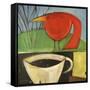 Coffee and Red Bird-Tim Nyberg-Framed Stretched Canvas