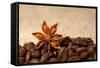 Coffee And Star Anise On Sackcloth Background With Copyspace-wasja-Framed Stretched Canvas