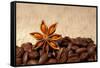 Coffee And Star Anise On Sackcloth Background With Copyspace-wasja-Framed Stretched Canvas